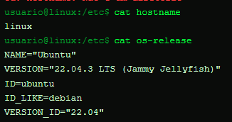 Linux Terminal - Retorno dos comandos